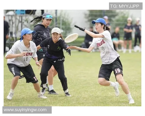 陈伟独家分享飞盘技巧与心得体会助你提升飞盘水平的实用指南